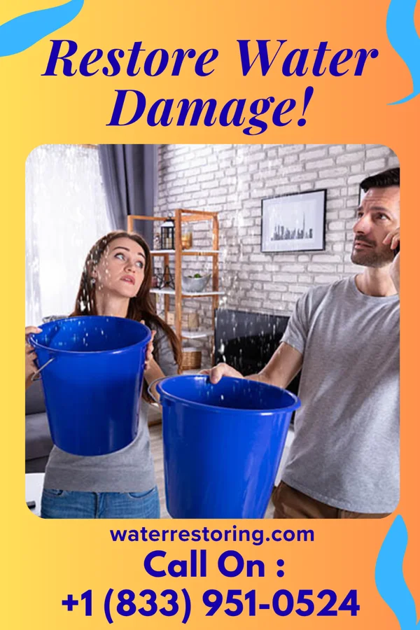 water restoration Property Restoration & Associates Ripplemead